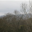 Lagarde I, II and Lagarde Tower